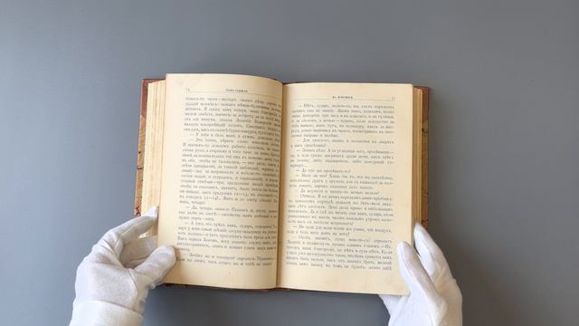 Авенариус В.П. Отроческие годы Пушкина (Антикварная книга 1893г.)