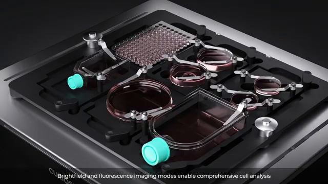 Обзор микроскопа Celloger M26 для визуализации живых клеток