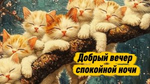 Добрый вечер и спокойной ночи! Музыкальная открытка