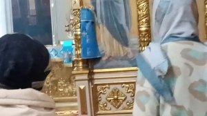 7.04.26. С Благовещением, дорогие мои! 🕊🕊🕊 Солнышко играет🌞☀🌞