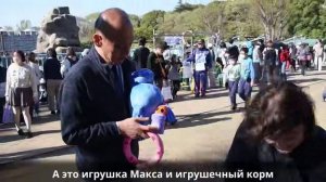 Игрушечного морского зайца для макаки Панча передали из Москвы в Японию