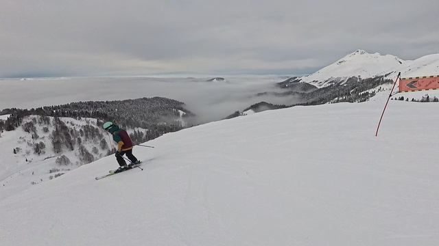 2026-02-27 Сочи. Примула (ПЕТЯ-ФЕДЯ)