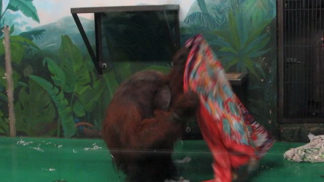 Папа принимает душ и убирается