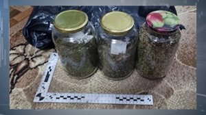 Передача "Участок" выпуск 06.04.2026