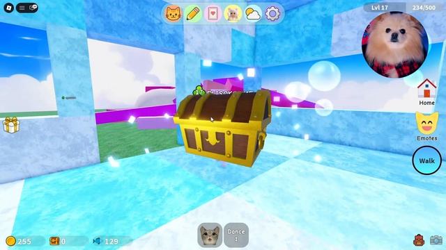 КОТИКИ В РОБЛОКС СОБИРАЮТ ПАСХАЛЬНЫЕ ЯЙЦА! НОВЫЕ ИГРЫ В РОБЛОКС!