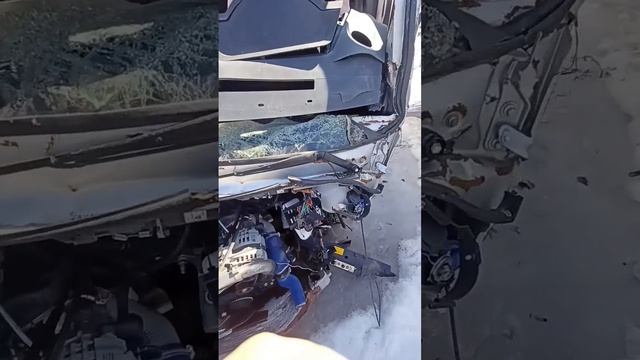 Газель Некст