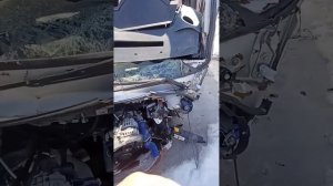 Газель Некст