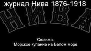 Сюзьма.Морское купание на Белом море.Быков,описание журнал Нива 1876-1918