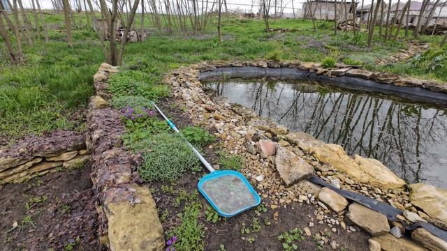 5 апреля 2026г.Продолжаю наводить порядок на участке .