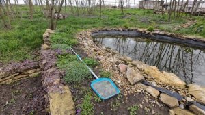 5 апреля 2026г.Продолжаю наводить порядок на участке .