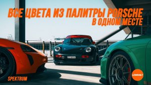 Все цвета из палитры Porsche - Spektrum - Lowdaily