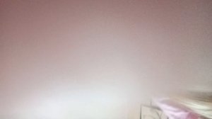 строим отель для котиков