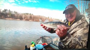 РЫБАК БЫЛ В ШОКЕ! НА ЛЕЩОВЫЙ КОРМ ПРИШЛИ СУДАКИ! ЛОВЛЯ НА ФИДЕР ВЕСНОЙ 2026.