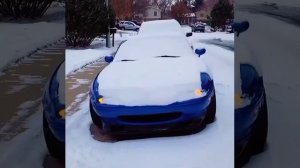 Встреча двух Mazda Miata