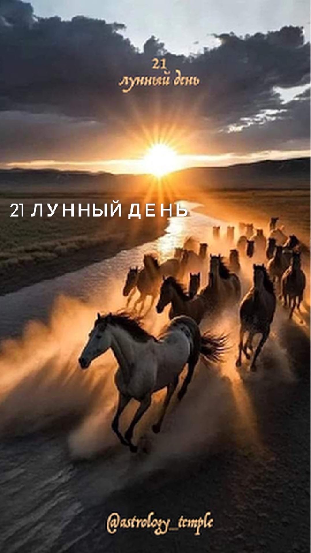 📅 Среда, 08.04.2026 🌛 21 Лунный день 🌗 Убывающая Луна в Стрельце, с 15:04 в Козероге