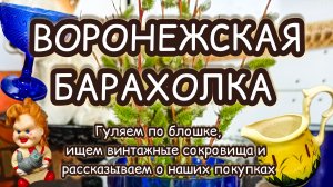 ВОРОНЕЖСКАЯ БАРАХОЛКА| ГУЛЯЕМ ПО БЛОШКЕ, ИЩЕМ ВИНТАЖНЫЕ СОКРОВИЩА И РАССКАЗЫВАЕМ О НАШИХ ПОКУПКАХ 🛒