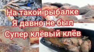 ТАКИХ ЛАПТЕЙ УЖЕ ДАВНО НЕ ЛОВИЛ.. СУПЕР КЛЁВЫЙ КЛЁВ..
