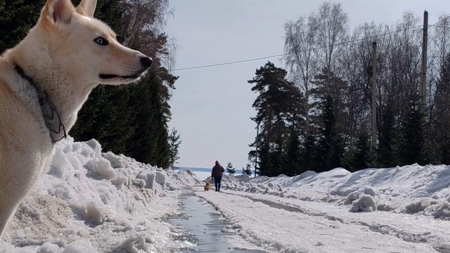 Уютная весенняя повседневность