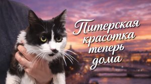 Питерская красотка теперь дома.