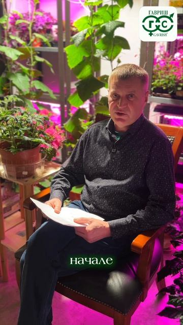 СРОКИ ПОСЕВА РЕДИСА