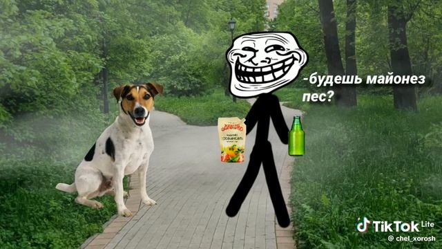 1000001359.mp4 - смотреть видео онлайн от «.🥳🤩Ника🥳🤩» в хорошем ...