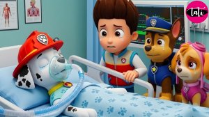 Щенячий патруль и Маршалл. Залипательное видео. Мультфильм для детей и малышей. Анимация 374