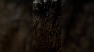 Операция "Поток" часть 2