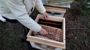 7 апреля. ВОДА ПЧЁЛАМ очень НУЖНА  в холодную погоду