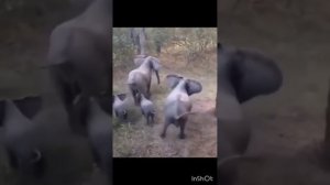 Интересные моменты 🧐🧐🧐