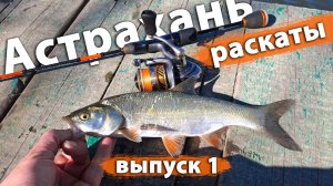 Рыбалка в Астрахани на раскатах реки Волги. Ловля жереха и краснопёрки на спиннинг.