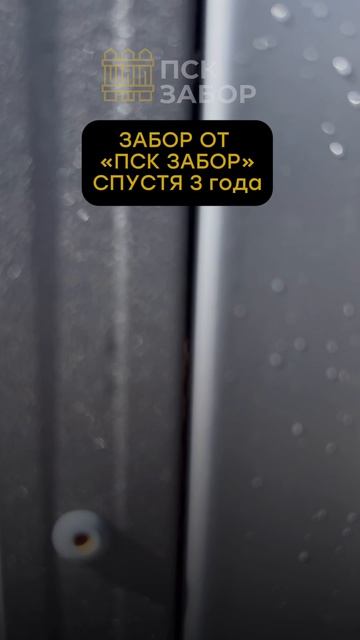 Обзор нашего забора  спустя три года