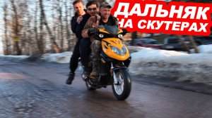 Покупаем 50-ти кубовые дрова, чтобы поехать на море!