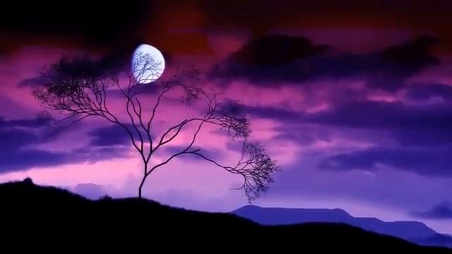 Дима Карташов - Никто