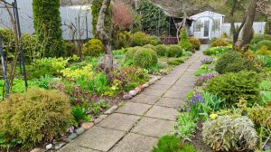 Что готовит нам погода. Прогулка по южному саду 04.04.2026 г. Пятигорск