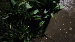 Видосики за три рабочих дня.2026