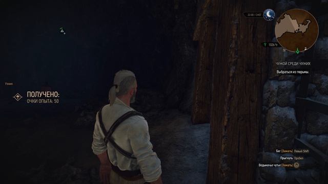 The Witcher 3 прохождение ч23