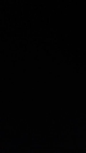 геомитридашь