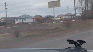 Нам не показалось. Спиливает всё. Жизнь в Деревне.