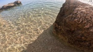 Мурена на пляже Palma Beach