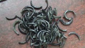 Комплекс черных стеклянных перстней из раскопа по улице Ленина, 46