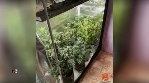 ПС - 7 апреля 2026