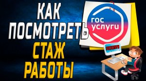 Как посмотреть стаж работы на госуслугах