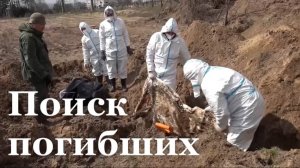 В Северодонецке извлечены останки ещё семи мирных жителей