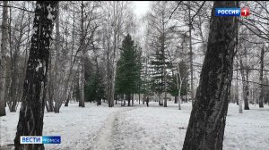 Вести-Томск, выпуск от 07.04.2026 11:30