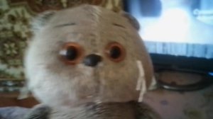 Иван смотрит украинскую рекламу Синекод . Украинская реклама .