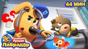 Какие то странные звуки!  Популярный сборник мультиков для детей  Шериф Лабрадор