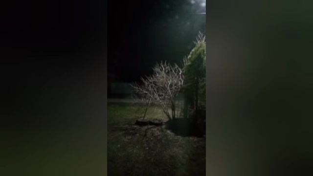 Цвета травли синий