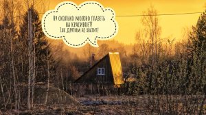 В поле с Псом Кубиком: успеть погулять до прилёта тучки. Очень много красивого неба