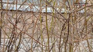 Утро начинается с релакса. #релакс #утро