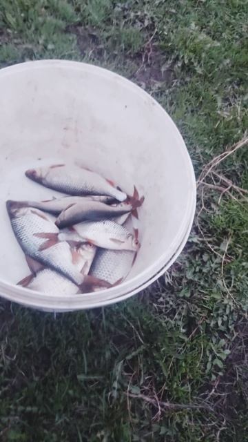 РЫБОЧКА РЫБАЛКА. САУНДТРЕК.